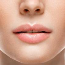 labios labios